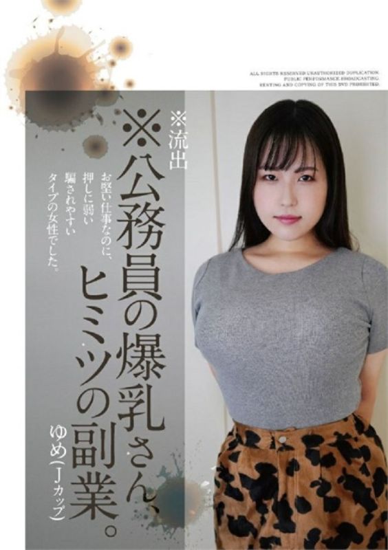 夢——公務員的副業